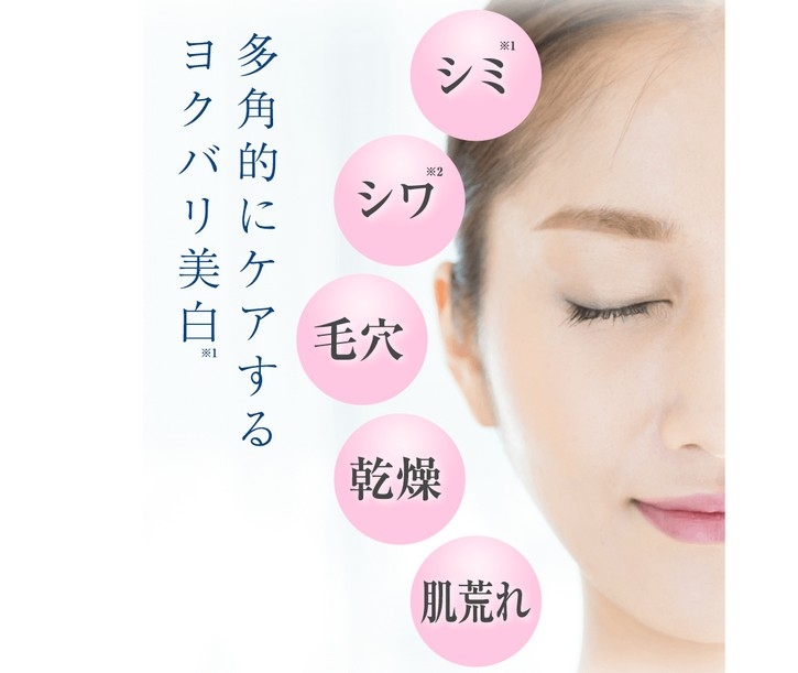 シズカゲルについて